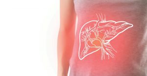 Illustration of liver for fatty liver disease