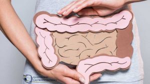 woman holding a cardboard image of the digestive system where diverticulitis disease occurs